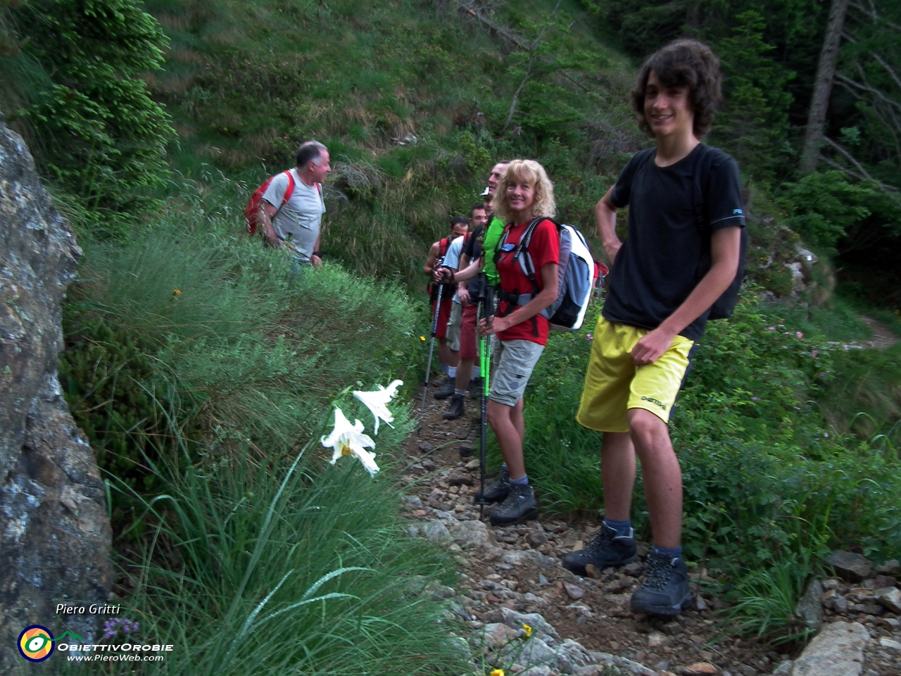 07 Gigli di montagna....JPG